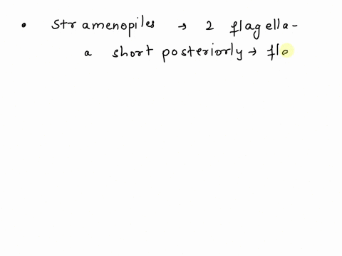 a-stramenopiles-have-a-cilia-b-all-of-these-c-pseudopodia-d-a-hairy-flagellum-17374