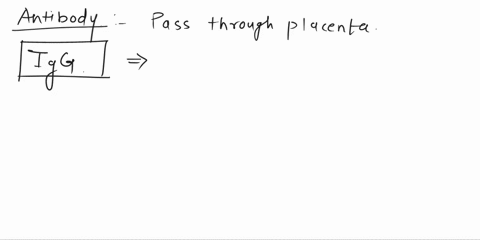 developing-felus-able-cross-the-placenta-from-mother-what-class-antibody-responsible-for-killing-virus-infected-or-abnormal-cells-what-type-lymphocyte-name-the-threa-types-of-antigen-present-80959