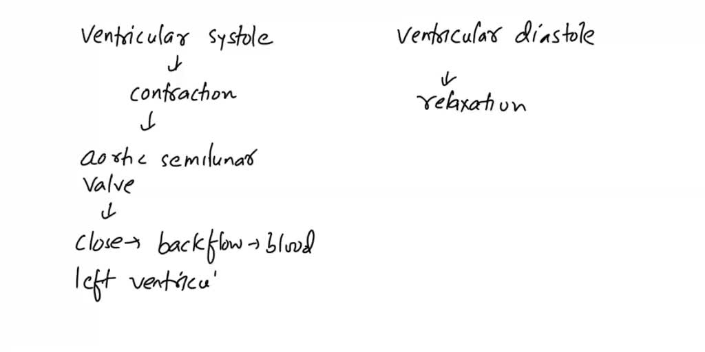 SOLVED Describe the effect of an aortic semilunar valve on