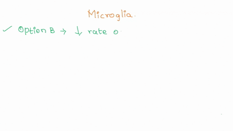 question-3-10-points-save-answer-how-do-microglia-impact-neuronal-function-they-decrease-the-rate-of-firing-and-increase-synaptic-adhesion-molecules-they-decrease-the-rate-of-firing-and-decr-04192