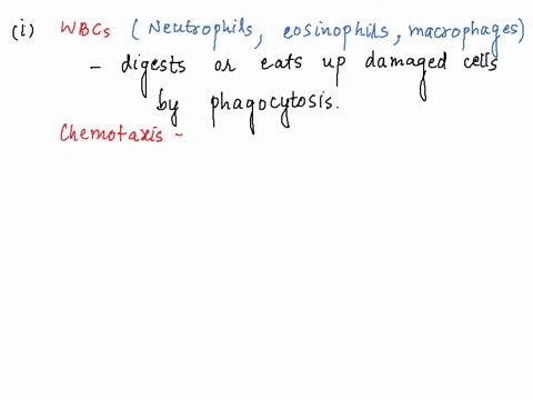 jonce-in-the-injury-site-the-white-blood-cells-wbc-often-consume-damaged-cells-by-means-of-a-releasing-toxins-blphagocytosis-cchemotaxis_dnone-of-the-above-2-true-or-false-antihistamine-drug-82867