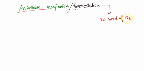12-which-of-the-following-compounds-can-act-as-a-terminal-electron-acceptor-in-anaerobic-respiration-a-nitrate-b-sulfate-c-carbonate-d-all-of-the-above-13-fermentation-reactions-often-lower-90593