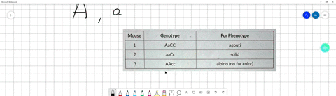 review-the-following-scenario-in-mice-coat-color-is-determined-by-gene-a-agouti-coat-color-a-is-dominant-to-solid-fur-color-a-another-gene-gene-c-controls-pigment-production-in-the-fur-you-m-47932