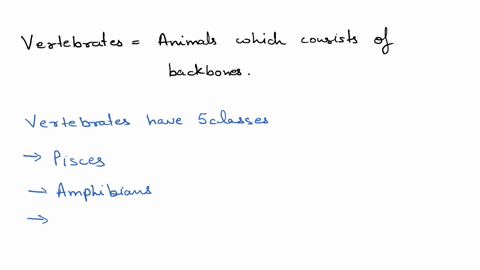the-most-efficient-vertebrate-respiratory-system-is-that-of-a-amphibians-b-birds-c-reptiles-d-mamm-6-76593