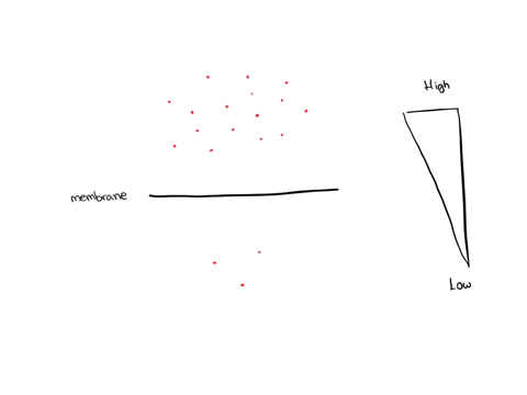draw-of-how-a-concentration-gradient-relates-to-the-process-of-diffusion