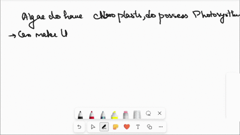 why-do-algae-cells-not-have-chloroplast-85718