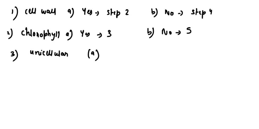 SOLVED: Construct A Dichotomous Key To Uniquely Identify The Following ...