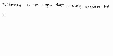 377-0-activity-62-organs-of-the-allmentary-canal-621-match-the-items-the-columin-b-with-the-descriptive-statements-in-the-colunnt-_-column-column-structure-that-suspends-he-small-intestine-i-09536