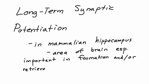 neuroscience-discuss-evidence-for-ltp-as-a-memory-mechanism