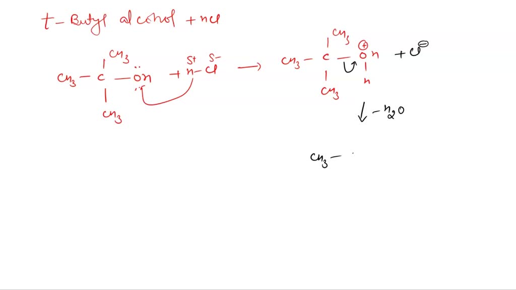 SOLVED: Which of the following statement about the reaction of t-butyl ...