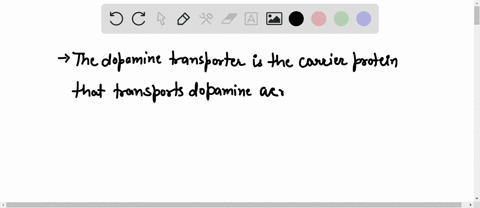 the-dopamine-transporter-a-transports-dopamine-across-the-membrane-ot-the-pre-synaptlc-cell-b-transports-dopamine-from-the-pre-synaptic-cell-to-the-post-synaptlc-cell-c-transports-dopamine-a-19112