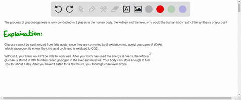 the-process-of-gluconeogenesis-is-only-conducted-in-2-places-in-the-human-body-the-kidney-and-the-liver-why-would-the-human-body-restrict-the-synthesis-of-glucose-87125