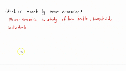 what-is-meant-by-micro-economics-71873