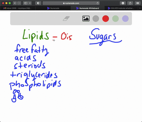 1-oils-tend-to-be-composed-of-unsaturated-fatty-acids-a-true-b-false-2-lipids-include-fats-oils-and-monosaccharides-a-true-bfalse-3-cell-membranes-contain-phospholipids-a-true-bfalse-4-stero-19384