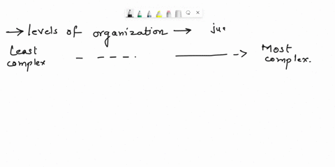 when-listing-the-levels-of-organization-in-organisms-from-least-complex-to-most-complex-which-level-is-just-below-organs-in-complexity-63452