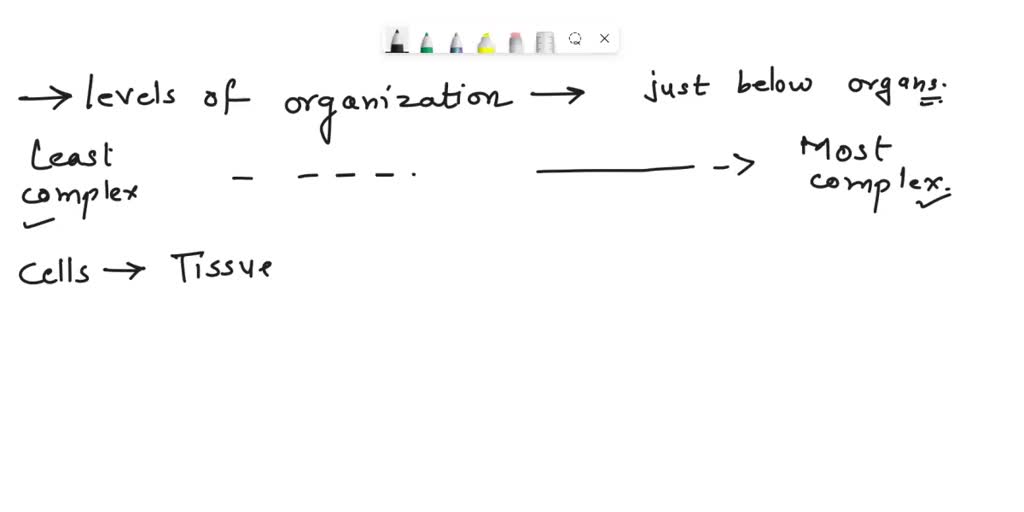 which of these is the most complex level of organization