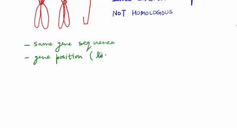 if-two-chromosomes-of-a-species-are-the-same-length-and-have-similar-centromere-placements-and-yet-a-63914