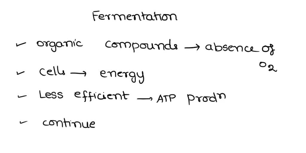 SOLVED The process of fermentation produces an abundance of ATP