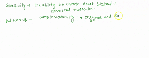 explain-the-concepts-of-specificity-competition-and-saturation-as-they-relate-to-enzymes-63148