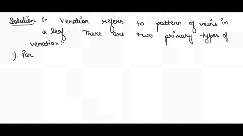what-is-venation-in-a-leaf-which-are-the-two-types-of-venation-found-in-the-leaves-92354