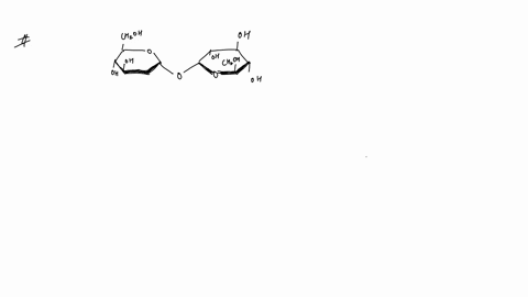 indicate-the-position-of-the-following-functional-groups-in-the-disaccharide-drawn-below-they-may-not-all-be-present-marks-primary-alcohol-b-ether-c-secondary-alcohol-acetal-aldehyde-tertiar-49565