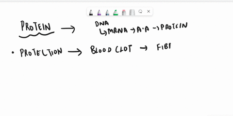 describe-the-properties-and-functions-of-proteins-in-a-cell-29339