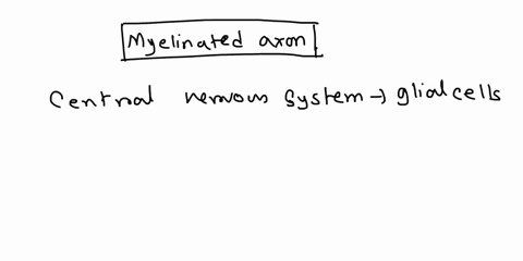 which-structure-is-highlighted-cbiophoto-assocscience-source-o-myelinated-axon-o-node-of-ranvier-o-internode-o-axon-collateral-o-myelin-sheath-39711