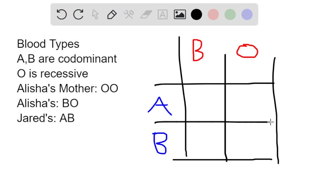 SOLVED: 4) Alisha has blood type B. Her mother has blood type 0. Alisha ...