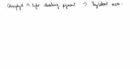 when-photon-is-absorbed-by-_-molecule-like-chlorophyll-electrons-the-are-pushed-from-molecule-shifts-from-an-inner-to-outer-orbital-ground-state-excited-state-if-the-electron-of-excited-chlo-04507