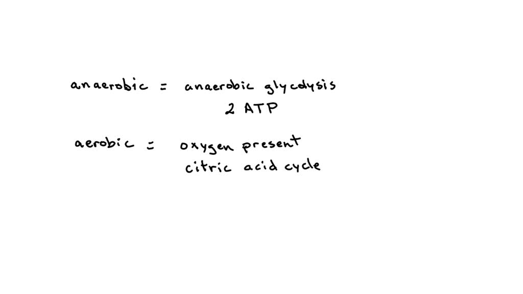 SOLVED If an athlete's body produced 2 moles of ATP during anaerobic