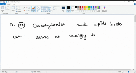 question-22-carbohydrates-and-lipids-can-both-serve-as-energy-storage-units-for-cells-be-the-main-component-of-cell-walls-store-genetic-information-for-cells-actually-all-of-the-above-are-co-20781