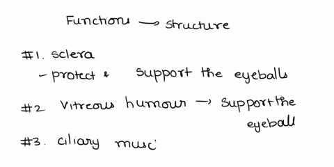 match-the-function-with-the-correct-structure_-sclera-1-absorbs-scattered-light-2-photoreceptors-of-the-retina-responsible-for-colour-vision-vitreous-humour-ciliary-muscles-3-refracts-light-25235