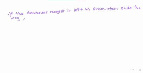 what-would-happen-if-the-decolorizer-reagent-was-left-on-the-gram-stain-slide-too-long