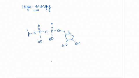 question-36-high-energy-bond-in-an-atp-molecule-is-located-between-adenine-and-the-first-phosphate-group-adenine-and-ribose_-ribose-and-the-first-phosahate-group-two-phosphate-groups-25823