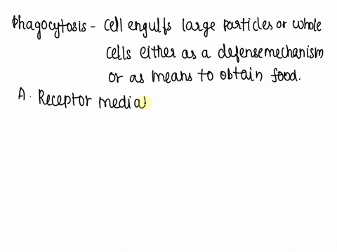 phagocytosis-illustrates-which-phenomenon-a-receptor-mediated-endocytosis-b-bulk-phase-endocytosis-2-52535