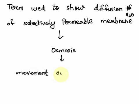 which-term-refers-to-the-the-diffusion-of-water-molecules-through-a-selectively-permeable-membranesingle-choice-osmosis-engulfing-passive-transport-78624