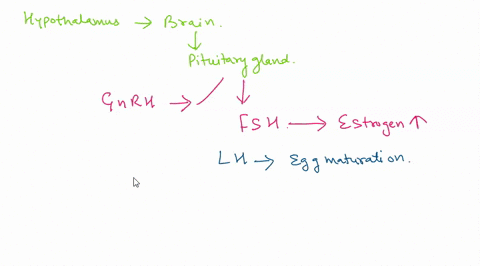 which-of-the-following-would-most-directly-cause-reduced-levels-0f-estrogen-production-an-anterior-pltuitary-tumor-that-increases-secretlon-of-fsh-an-increase-in-hypothalamus-hormones-that-t-22645