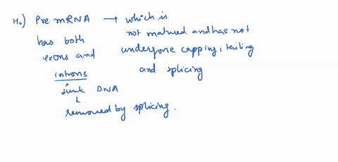 14-which-sequences-are-present-in-both-the-pre-mrna-and-the-mature-mrna-exons-introns-5utr-and-3-utr-promoter-both-a-and-15-what-would-be-the-most-likely-effect-of-moving-the-aauaaa-consensu-57387