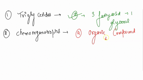 question-1-a-triglycerides-are-lipids-containing-a-three-fatty-acids-bound-to-one-glycerol-molecule-b-three-glycerols-bound-to-one-fatty-acid-c-three-fatty-acids-bound-to-three-intertwining-61114