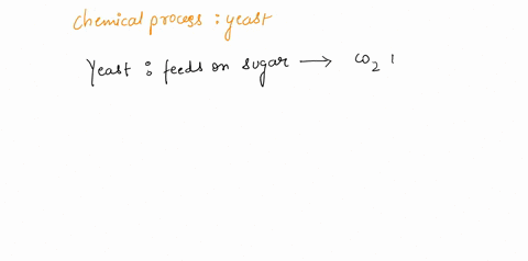 explain-in-detail-the-chemical-process-that-the-yeast-are-undergoing-during-bread-baking-01993