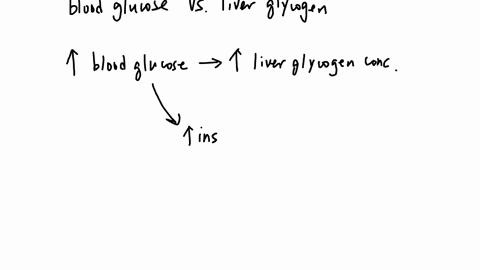 17-2224-6007-25-the-graph-shows-the-correlation-between-blood-glucose-and-liver-glycogen-concertratons-in-animals-after-receiving-different-glucose-meals-which-statement-explains-the-correlation-show