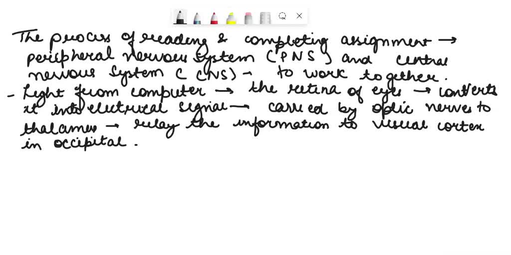 SOLVED When you paint with a paintbrush, your brain sends messages to