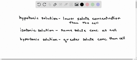 organize-the-following-statements-as-they-apply-to-hypertonic-isotonic-or-hypotonic-solutions-items-9-items-drag-and-drop-into-the-appropriate-area-below-flushing-human-cells-which-are-09-sa-93742