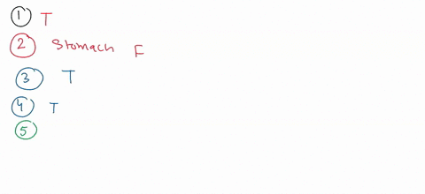truefalse-write-t-if-the-statement-is-true-and-f-if-the-statement-is-false-1-2-2-the-pyloric-sphincter-is-also-called-the-cardiac-sphincter-3-peristalsis-is-a-wave-like-muscular-contraction-63103