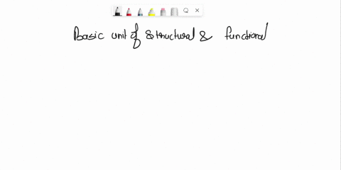 what-is-a-basic-unit-of-structure-and-function-in-all-living-things-12067