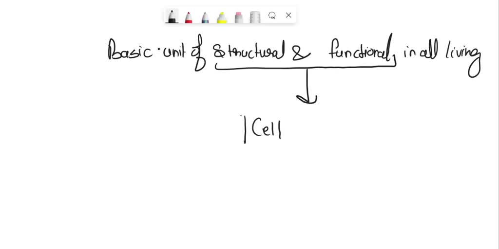 SOLVED: What is a basic unit of structure and function in all living things