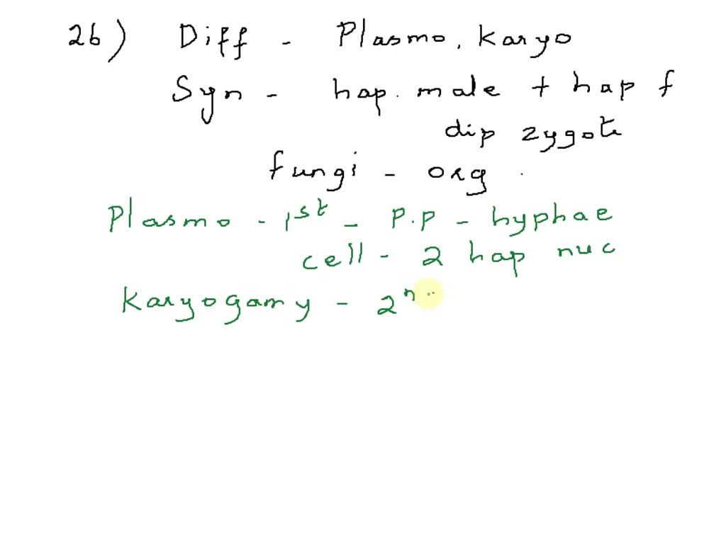 solved-question-26-4-points-what-is-the-difference-between