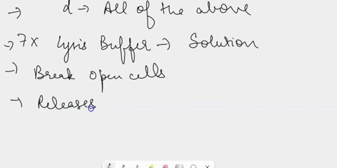 the-purpose-of-the-7x-lysis-buffer-is-to-select-one-ai-disrupt-cell-membrane-b-denature-protein-0-denature-chromsomal-dna-all-of-the-above-32441