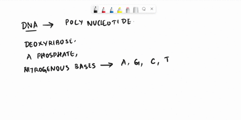 a-change-in-the-normal-nitrogenous-base-sequence-of-a-dna-molecule-is-known-as-a-59685