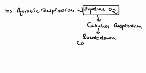 discuss-the-aerobic-and-anaerobic-properties-of-atp-production-provide-an-example-of-a-sport-for-the-following-types-of-training-and-your-reasoning-for-each1-aerobic-2-anaerobic-3-sports-tha-64405
